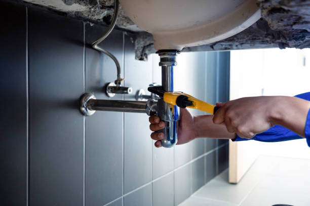 Best Residential Plumbing Services  in Morenci, MI